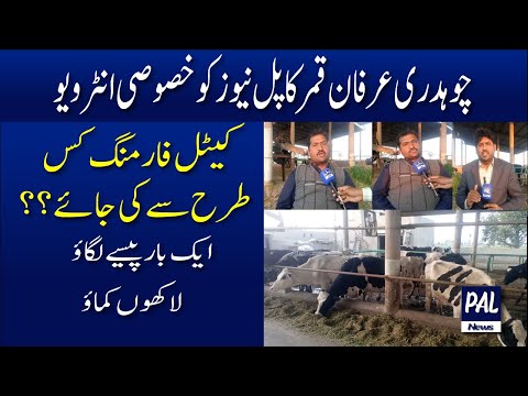 LIVE 🔴Cattle farming in Pakistan | How to start Small Dairy Farm | Pal News [Video]