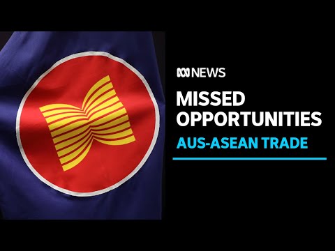 What opportunities are Australian businesses missing out in the South East Asian market? | ABC News [Video]