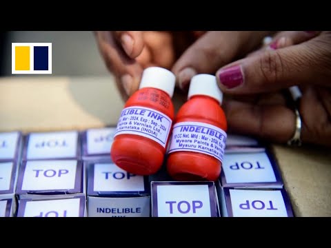 Inside the only ink factory authorised for Indian elections [Video]