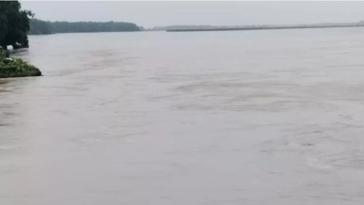 List of Top 10 Longest Rivers in India: From Ganga To Tapti; Here All About Major Rivers Of The Country [Video]