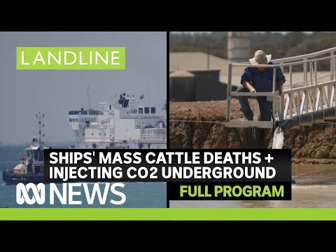 What caused mass cattle deaths on a ship bound for Indonesia? | Landline [Video]