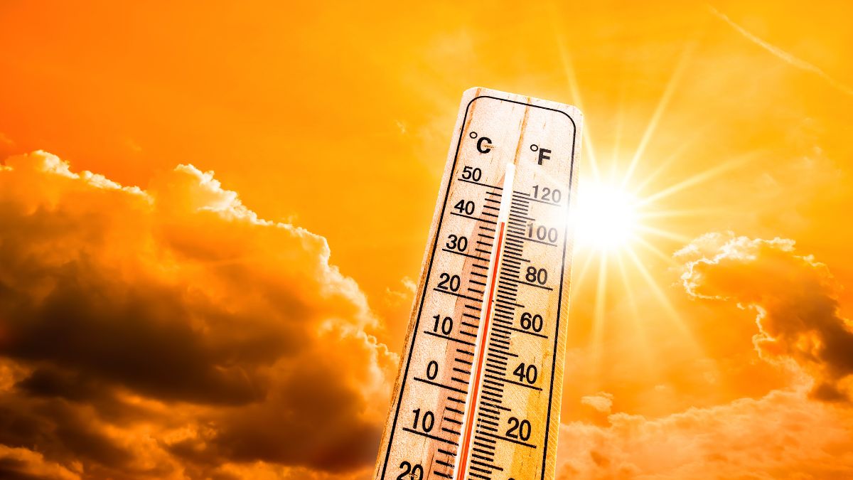 Extreme Heatwave Alert: IMD Predicts 2024 To Be Hottest Year On Record; Fresh Warning For Odisha, Bengal [Video]