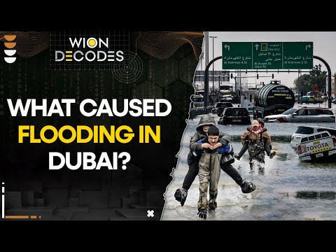 Dubai Floods: What caused flooding in Dubai? I WION Decodes [Video]