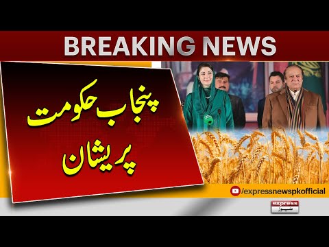 Punjab government will buy wheat from farmers or not? | Pakistan News | Latest News [Video]