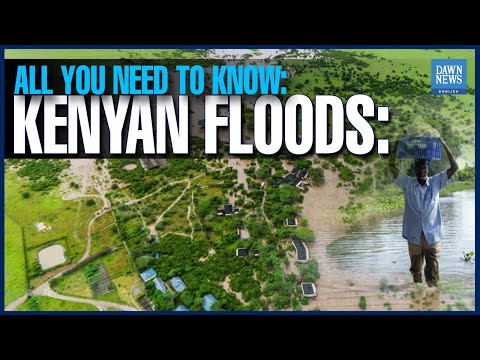 Kenyan Floods: All You Need To Know | Dawn News English [Video]