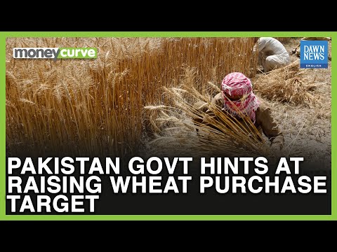 Pakistan govt hints at raising wheat purchase target | Dawn News English [Video]