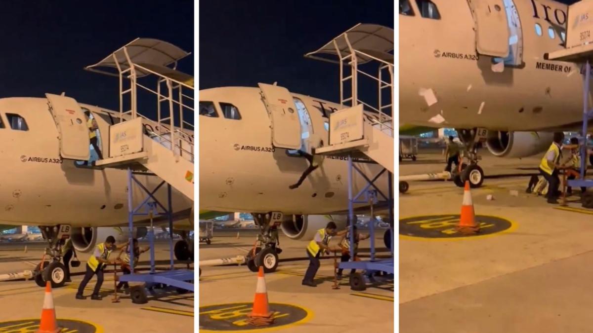 Shocking footage emerges of Indonesian airport ground staff member falling metres from Airbus A320 plane onto tarmac [Video]