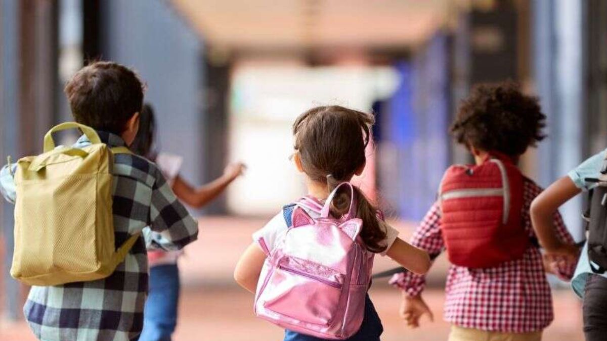 Jharkhand Schools Summer Vacations Extended Till June 7 For All Government Schools; Check Revised Dates [Video]
