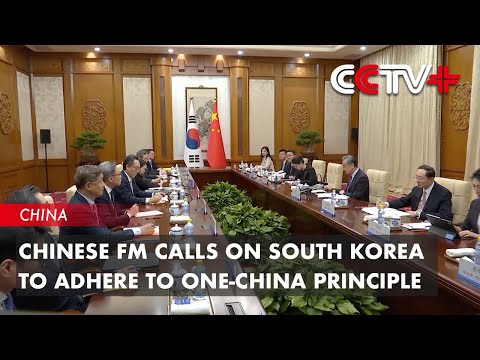 Chinese FM Calls on South Korea to Adhere to One-China Principle [Video]
