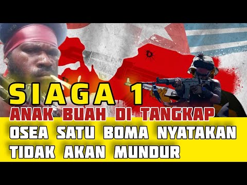 OPM TPNPB is on alert 1 and will not withdraw from West Papua [Video]
