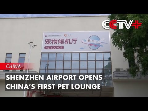Shenzhen Airport Opens China’s First Pet Lounge [Video]