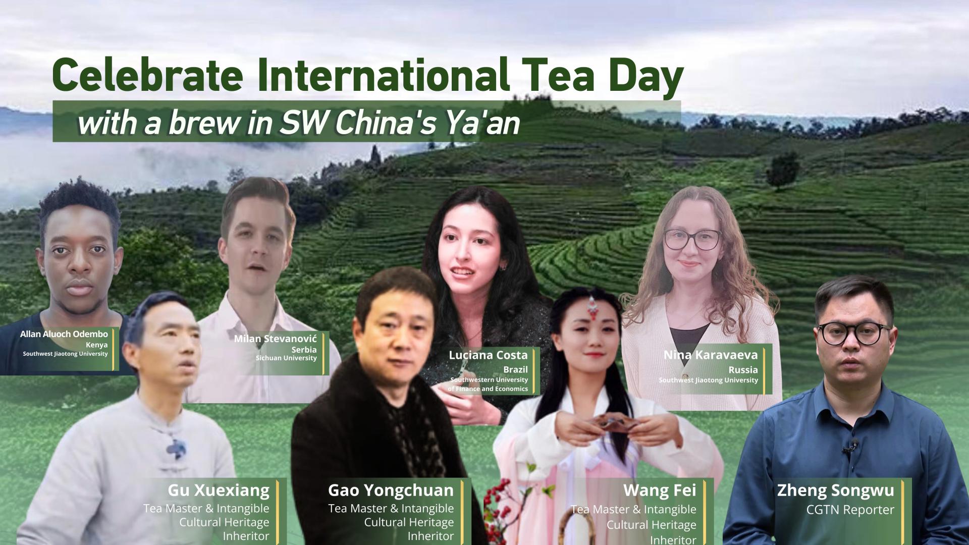 Live: Celebrate International Tea Day with a brew in SW China’s Ya’an [Video]