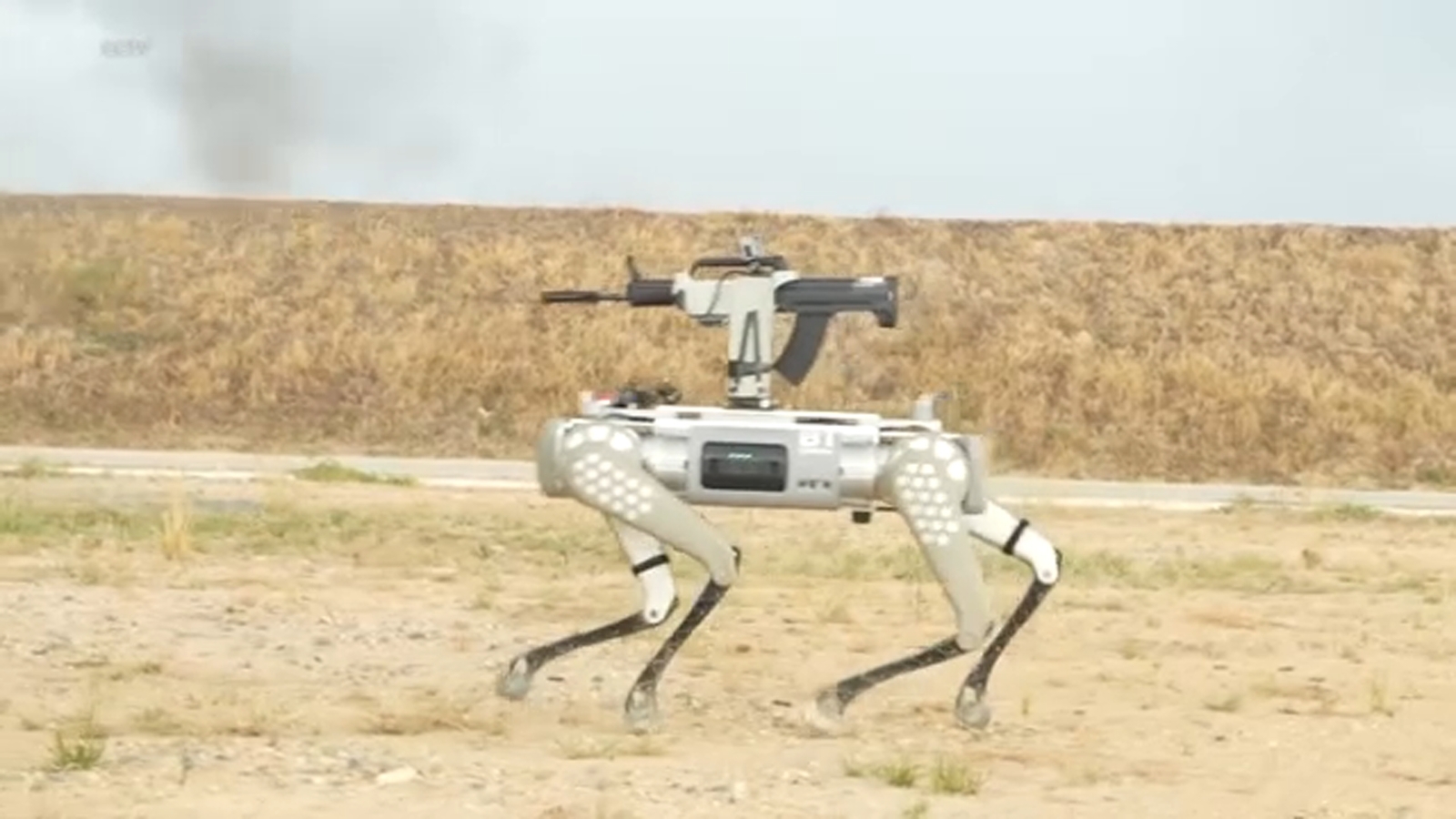 China’s military shows off robot dogs during drills with Cambodia [Video]