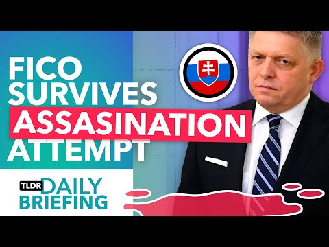 Who Tried to Assassinate Slovakia’s Prime Minister? [Video]