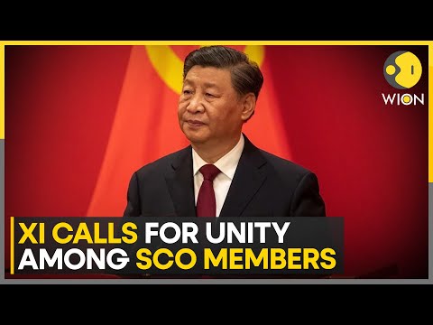 SCO Summit: China, Russia hold bilateral meet on SCO sidelines; Putin, Xi hail stable ties | WION [Video]