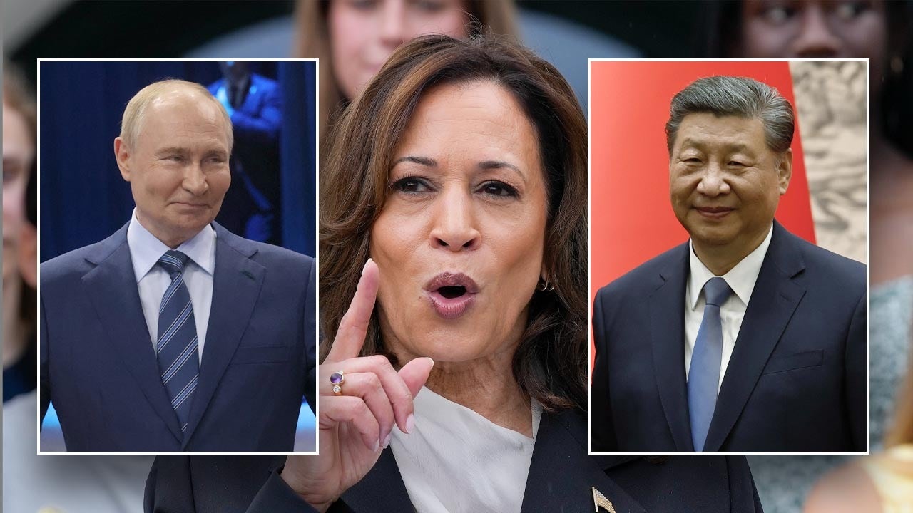 National security experts warns against chaos of US elections as Harris enters the race [Video]